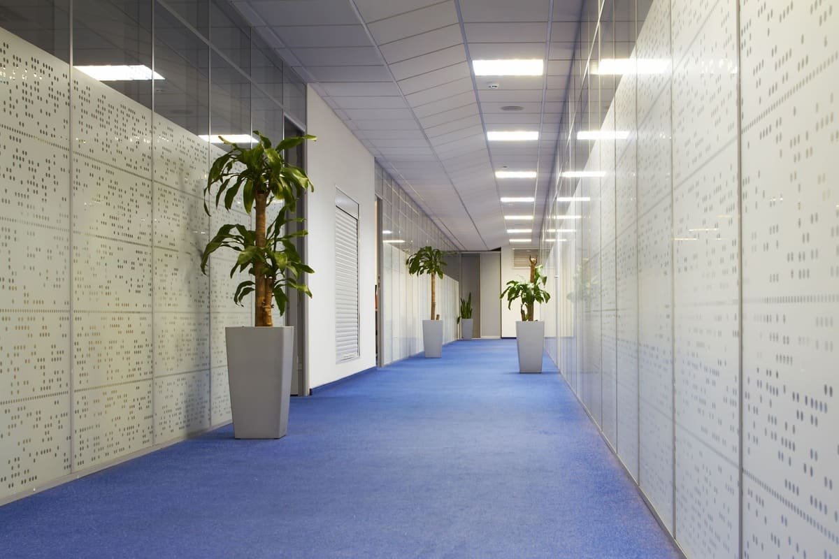 modern office carpet in blue color corporate room with ornamental plants