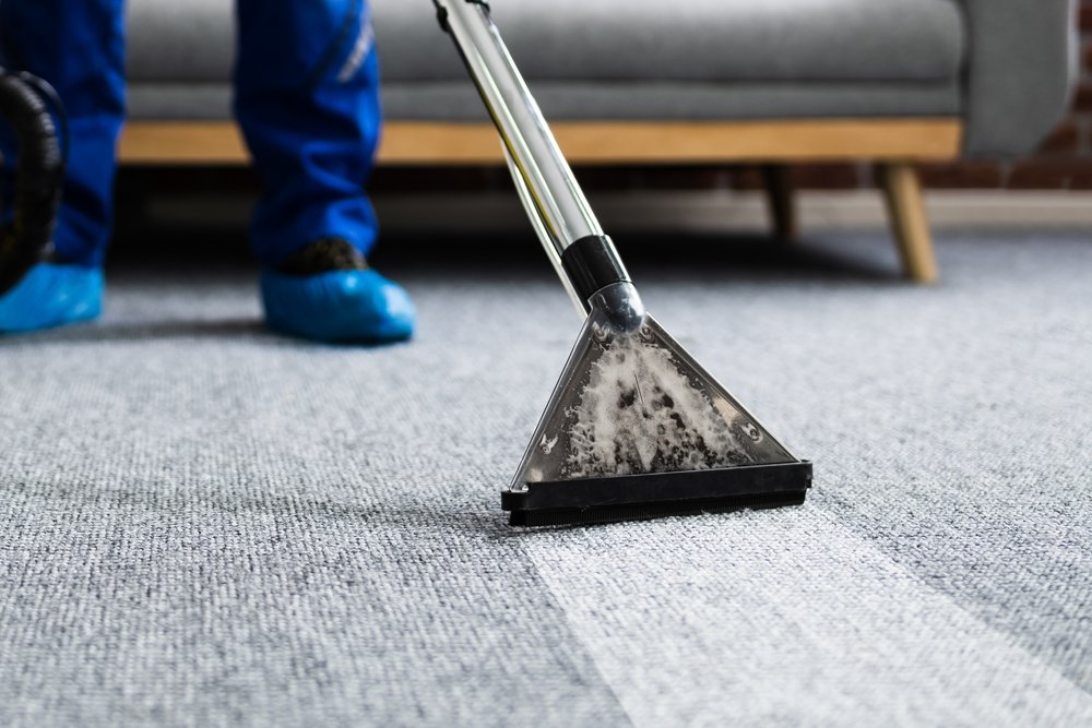 The person who cleans the carpet with a special solution