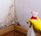 How to remove mold from bedroom walls